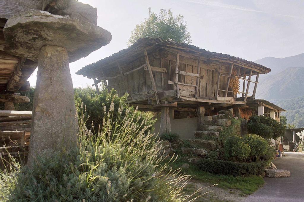 Hotel El Babu Caravia Exterior photo